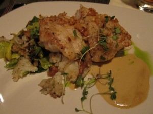 Macadamia grouper