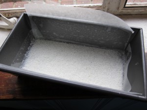 Desiccated coconut in pan