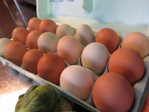 Multicolored eggs