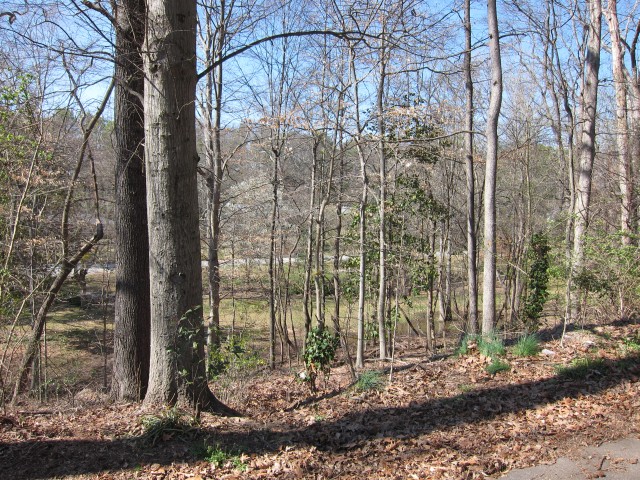 View of park below