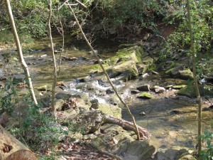 Tiny waterfall in the stream