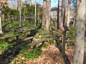 Outdoor classroom for elementary