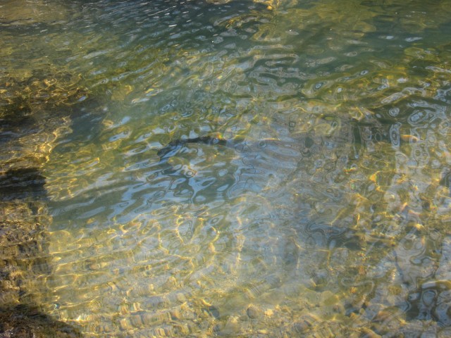 Ripples over a lost bike tire