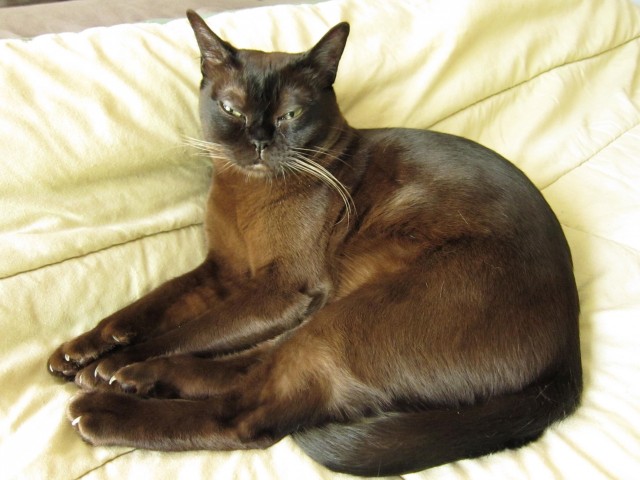 Lucas lounging on the bed