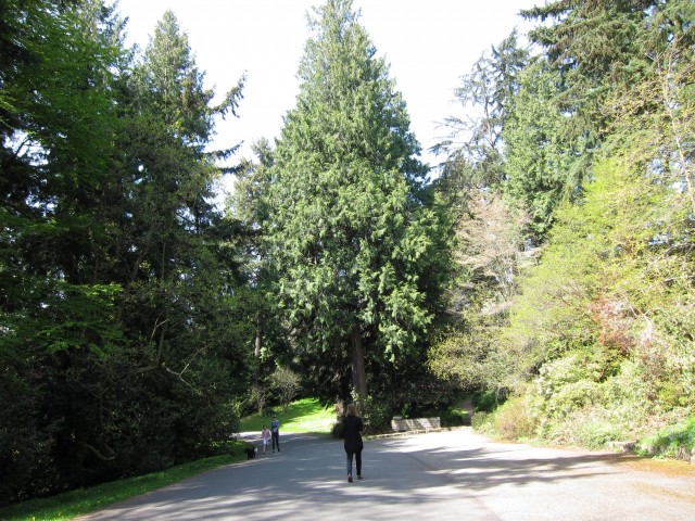 Entering arboretum