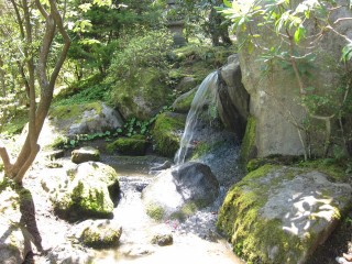 Japanese garden small waterfall
