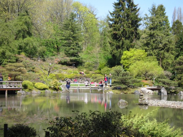 Lake in Seattle Japanese garden