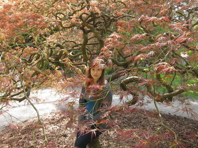 Me in Japanese maple tree