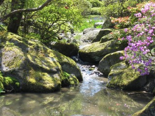 stream in Japanese Garden