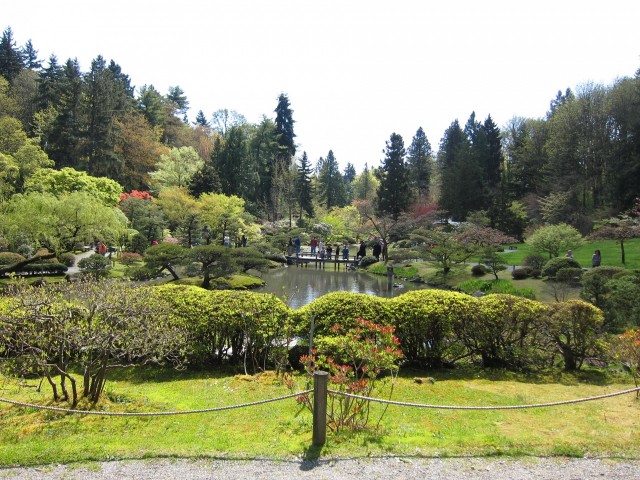 Wide view of Seattle Japanese garden