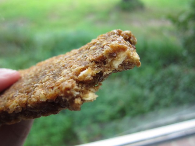 Gnu lemon ginger bar bite