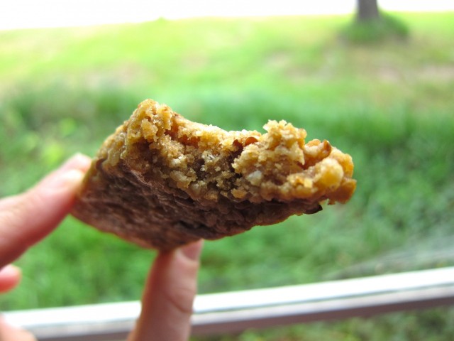 Halo S'mores bar bite