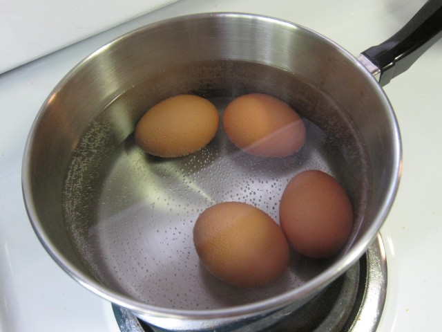 Trying new hard-boiled egg technique