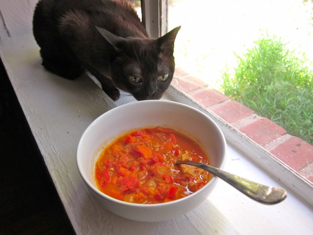 Liam sniffing tomato vegetable soup