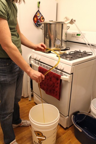 Draining the cooled wort 2