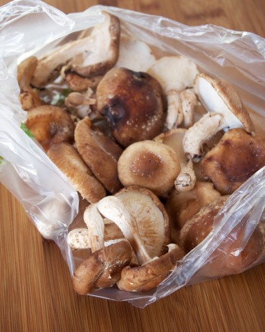 Bag of shiitakes